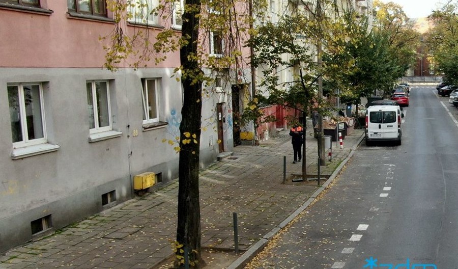 Poznań. Więcej zieleni na Jeżycach i Łazarzu Poznań. Więcej zieleni na Jeżycach i Łazarzu