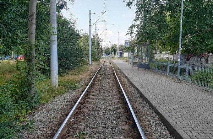 Wrocław: Rusza remont pętli w parku Południowym