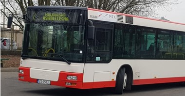 Piotrków Trybunalski z ofertami na autobusy spalinowe