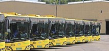 Sosnowiec: nocny transport na żądanie "sporym sukcesem". Pilotaż przedłużony