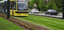 Toruń: Przybywa zielonych torowisk tramwajowych