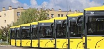 PKM Sosnowiec z ofertami na autobusy spalinowe