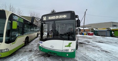 Czy bezpłatna komunikacja miejska w Chełmie okazała się sukcesem?