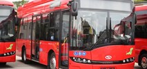 Stalowa Wola z trzema ofertami na elektrobusy. Solaris najtańszy