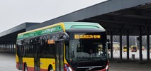 Do Łodzi dotarł pierwszy elektrobus (zdjęcia)