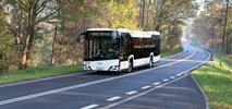 Piotrków Tryb. wybrał dostawcę autobusów spalinowych – „lekkich hybryd”