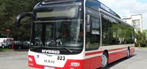 Jelenia Góra chce kupić 20 autobusów elektrycznych