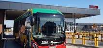 Łódź: Pierwsze elektrobusy wożą już pasażerów