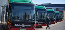 Łódź z ofertami na przegubowe elektrobusy
