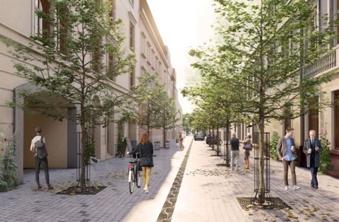 Kraków: Krupnicza już za chwilę się zazieleni