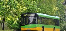 Tylko Solaris chce dostarczyć autobusy używane dla MPK Poznań