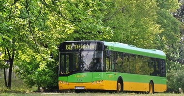 MPK Poznań chce kupić do 10 autobusów używanych 