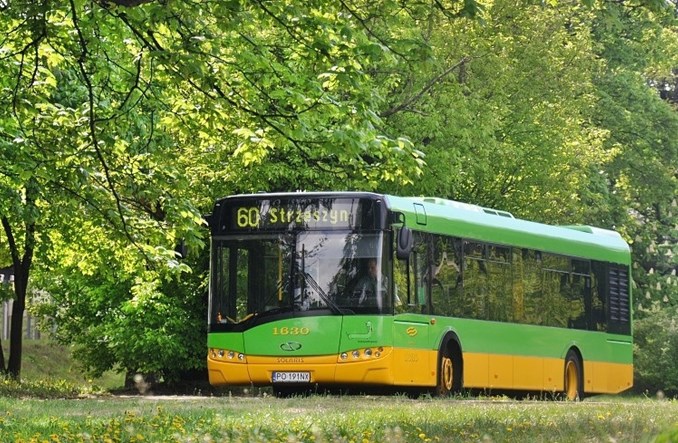 MPK Poznań chce kupić do 10 autobusów używanych 