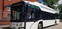 MZK Toruń odbiera pierwsze elektrobusy