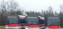ZKP w Suchym Lesie kupuje autobus hybrydowy