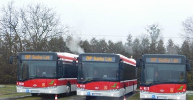 ZKP w Suchym Lesie z ofertą na hybrydę