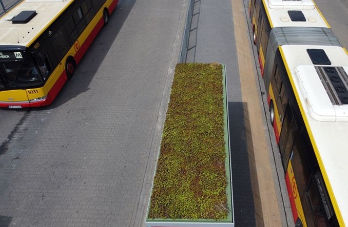 Zielone dachy warszawskich przystanków