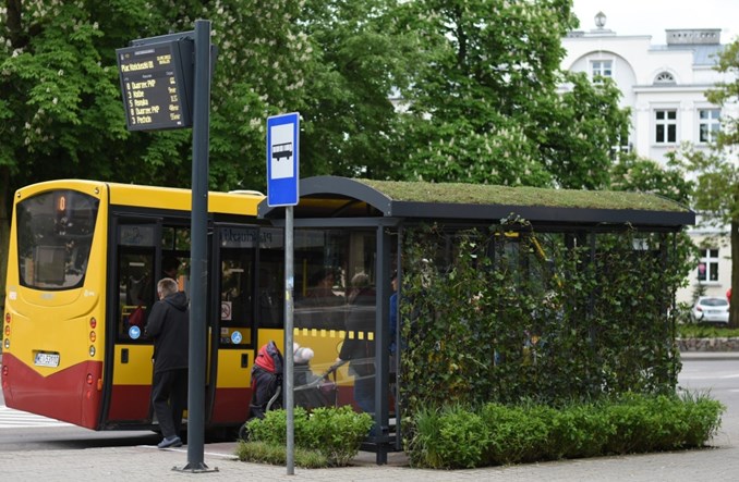 Ciechanów z ofertami na elektrobusy