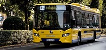 Kalisz na razie bez autobusów elektrycznych