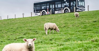 Kraśnik na razie bez elektrobusów