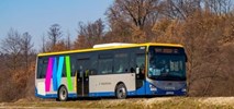 Koleje Małopolskie wybrały dostawcę autobusów