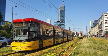 Torowiska tramwajowe w centrum Warszawy pokryją się rozchodnikiem