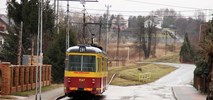 Posłanka Matysiak ws. tramwaju do Lutomierska. "To walka z wykluczeniem komunikacyjnym"