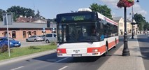 17 elektrobusów trafi do Opoczna i Piotrkowa Trybunalskiego