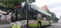 W Pile duże zmiany w rozkładach jazdy miejskich autobusów