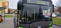Szczecinek kupi pięć elektrobusów