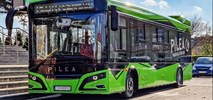 Mrągowo znów próbuje kupić elektrobusy