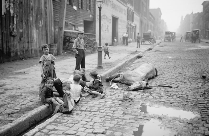 O końskim łajnie i zwycięstwie samochodu