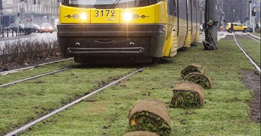 Tramwaje Warszawskie z ofertami na zazielenienie torowisk