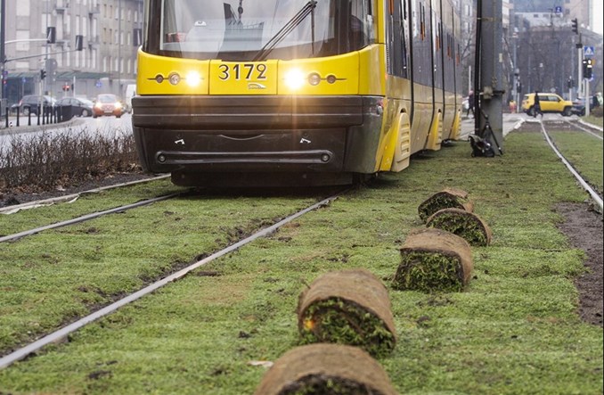 Tramwaje Warszawskie z ofertami na zazielenienie torowisk