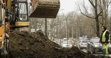 Tramwaj do Wilanowa. Budimex dosadzi 400 drzew