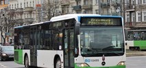 Szczecin z umową na kursy ponad 30 linii autobusowych