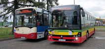 MZK z Białej Podlaskiej chce kupić nowy autobus