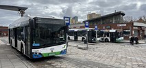 Jakich elektrobusów jest w Polsce najwięcej?