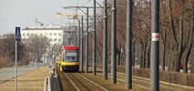 Tramwaje Warszawskie przetestują nowe rośliny i kwiaty w torowisku