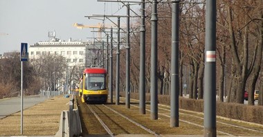 Tramwaje Warszawskie przetestują nowe rośliny i kwiaty w torowisku