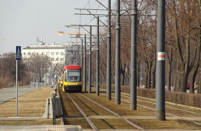 Tramwaje Warszawskie przetestują nowe rośliny i kwiaty w torowisku