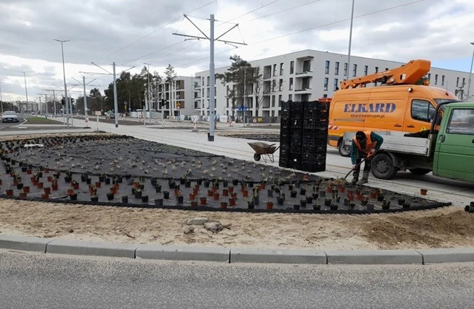 Toruń: Wzdłuż nowej linii tramwajowej do os. JAR będzie zielono