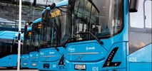 Volvo Buses chce zacieśnić współpracę z egipską firmą ws. produkcji nadwozi