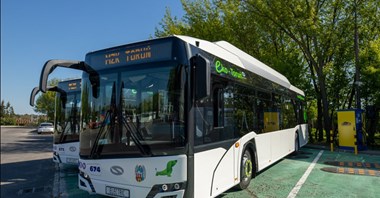 Toruń z jedną ofertą na elektrobusy