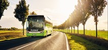 Flixbus: Polacy pokochali nocne autobusy. Także międzynarodowe