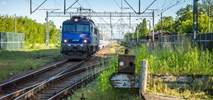 Świetne wyniki kolei pasażerskiej, coraz gorsze towarowej
