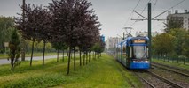 Tramwaj do Mistrzejowic. Kraków zapowiada ochronę kolejnych drzew