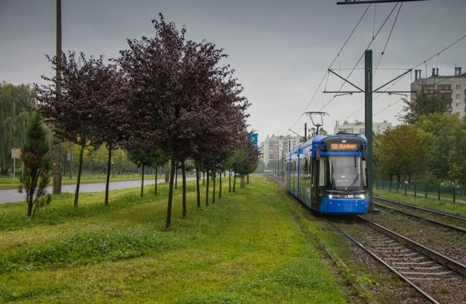 Tramwaj do Mistrzejowic. Kraków zapowiada ochronę kolejnych drzew