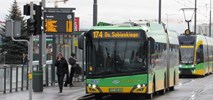 Poznań. Nowa siatka połączeń, stare ceny biletów i prawie 52 tysiące odwołanych autobusów