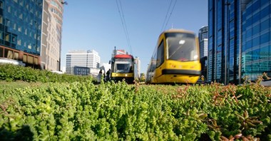 Tramwaje Warszawskie: Jeszcze więcej zielonych torów. Umowa podpisana